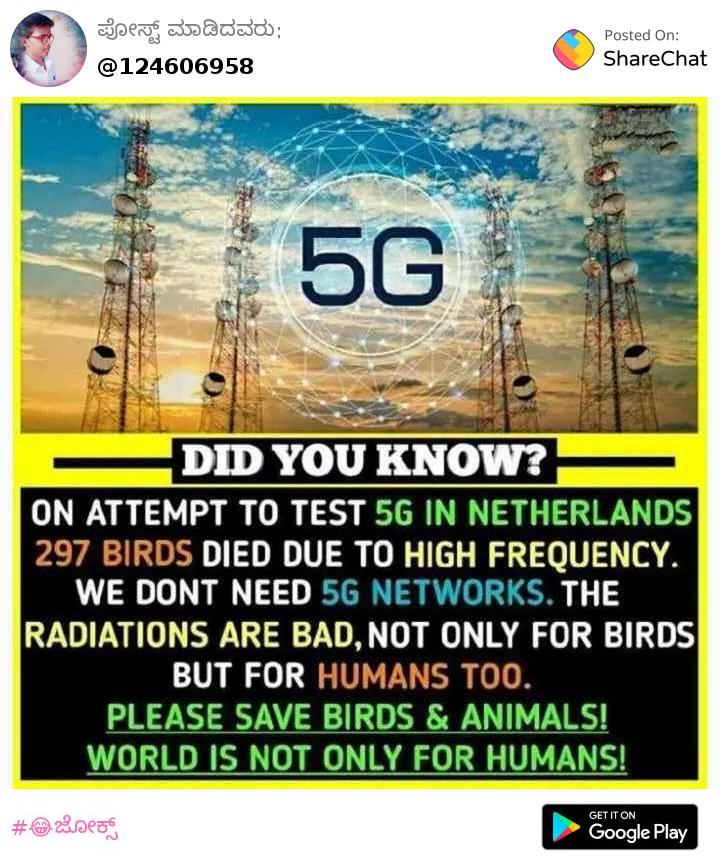 297 Birds Did Not Die Because of a 5G Experiment in Netherlands