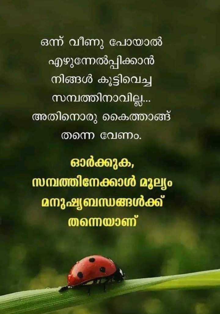 Clutch,ചുമ്മാ കത്തിച്ച് കളയാനുള്ളതല്ല ക്ലച്ച്, വാഹനങ്ങളിലെ ക്ലച്ചിനെ  കുറിച്ച് അറിയേണ്ടതെല്ലാം - clutch using tips you should know before driving  a car - Samayam Malayalam