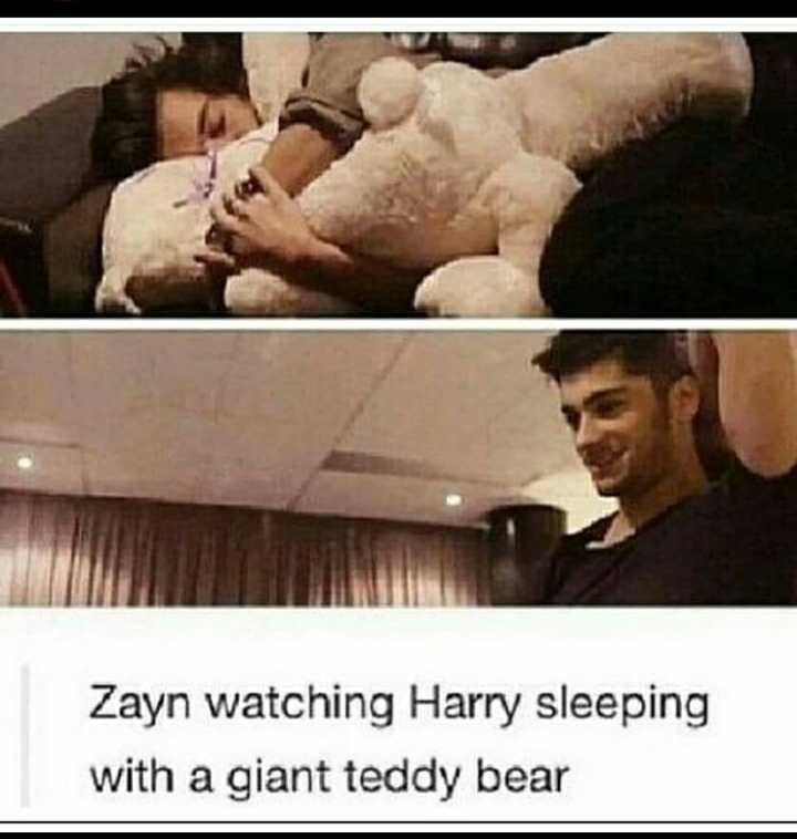 harry styles sleeping with teddy bear