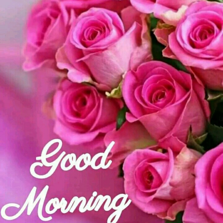 🌞 Good Morning🌞 Texts • Queen 👸👸👸 Romantic7324 On Sharechat