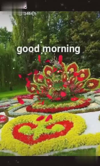 💐Flower photography 💐💐💐🙏🙏🙏Good morning 🙏🙏🙏💐💐 video renu raj - ShareChat - Funny, Romantic, Videos, Shayari, Quotes