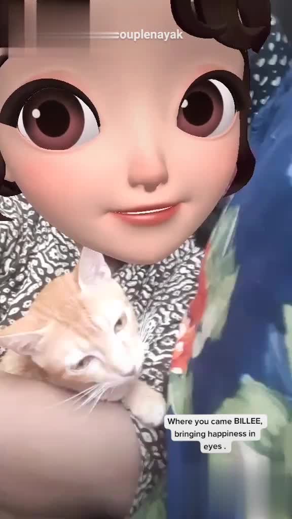 cut-cat-cat-lover-cut-cat-video-princess-nayak-sharechat-funny