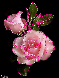 Flower Blossoms Spring  Free GIF on Pixabay  Pixabay