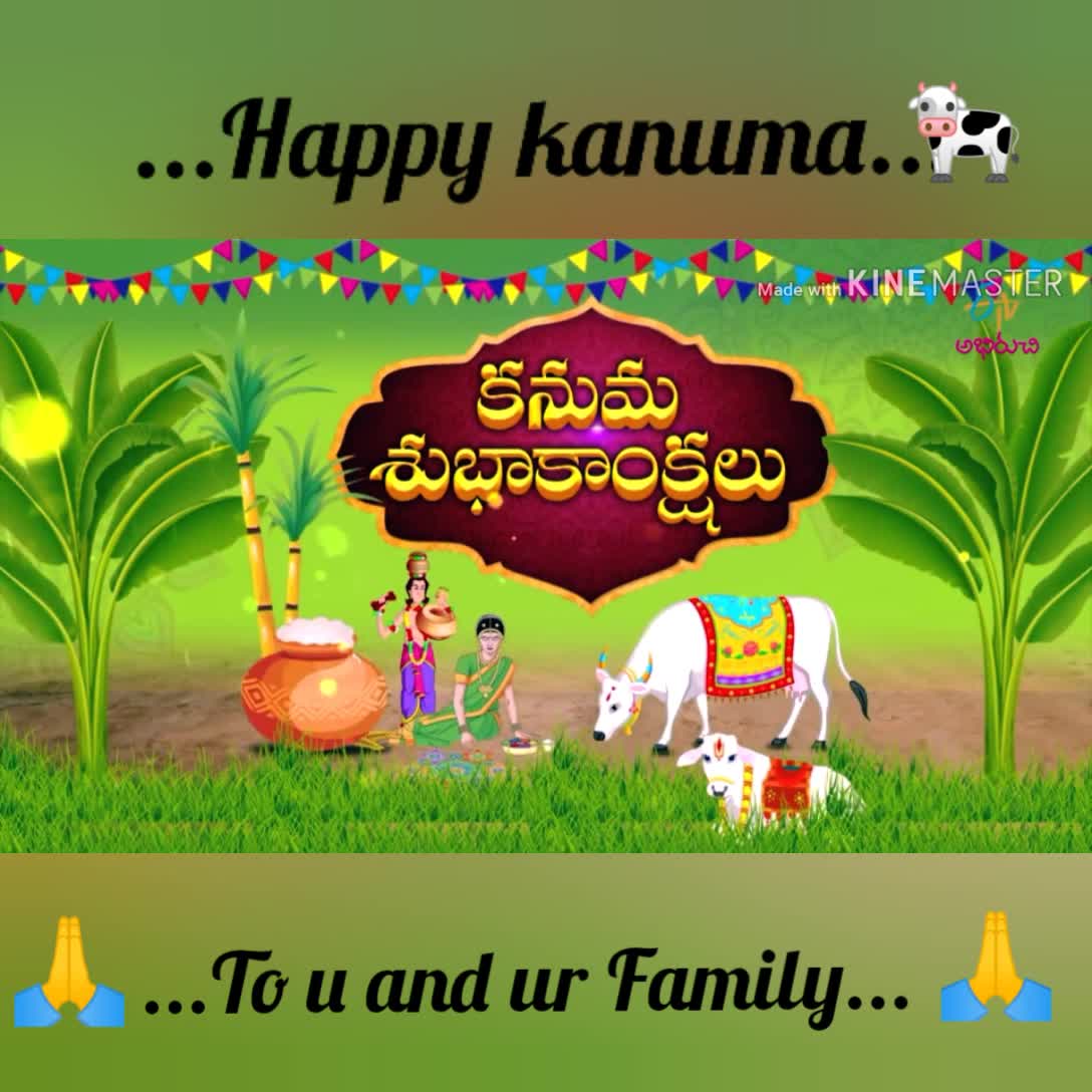  సంక్రాంతి సంబరాలు happy kanuma ...