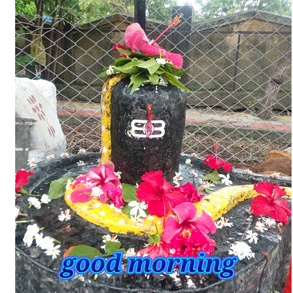 Shubh Somwar good morning Images • Bhavesh Shinde (@1745847948) on ...