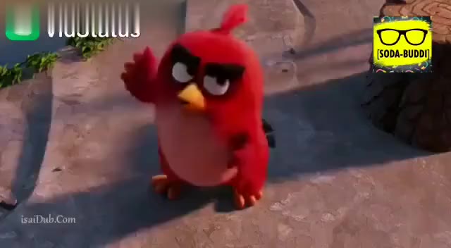 angry birds comedy angry bird #angry birds comedy #angry bird video swetha  - ShareChat - Funny, Romantic, Videos, Shayari, Quotes