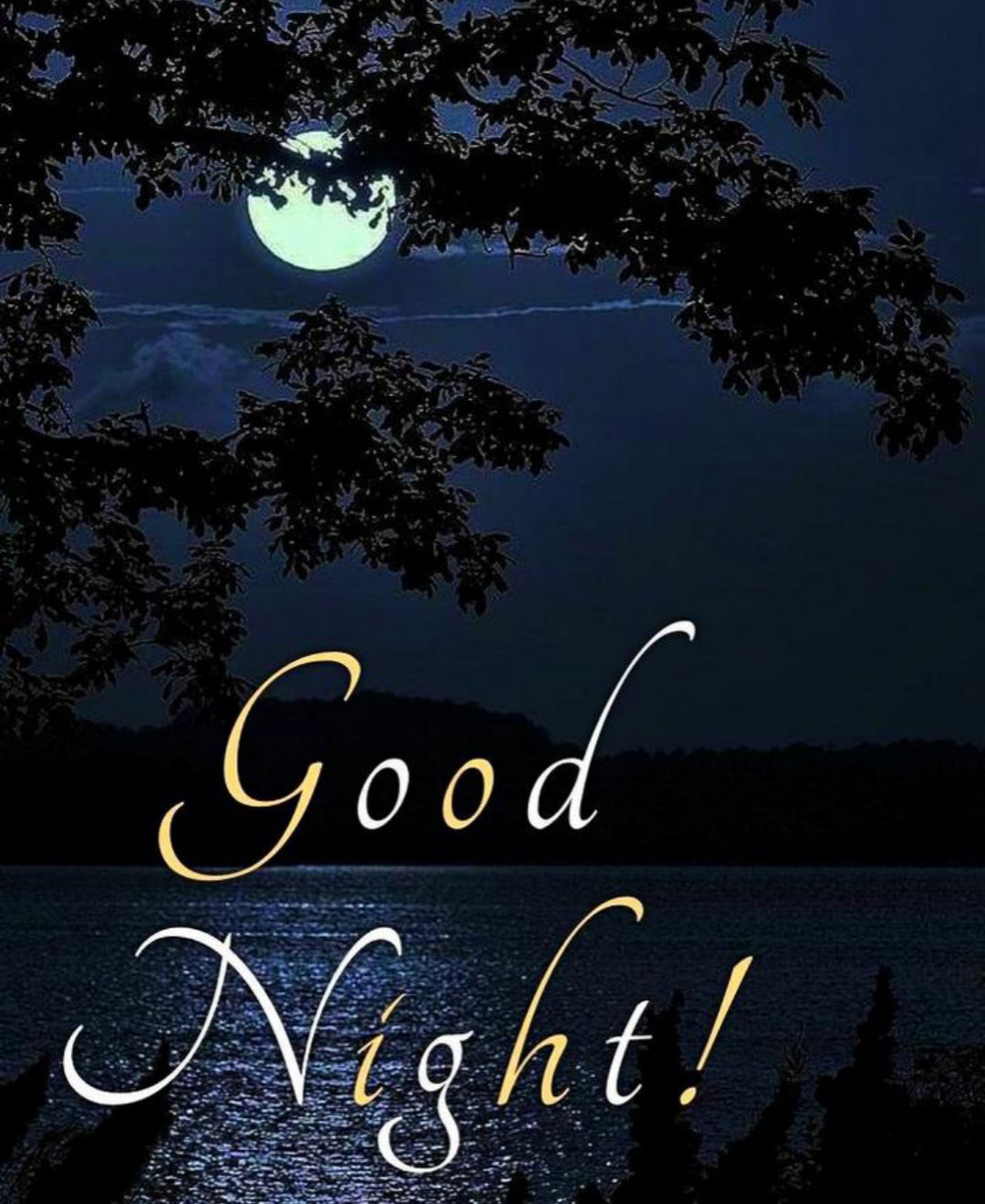 good night good night good night good night good night good night ...