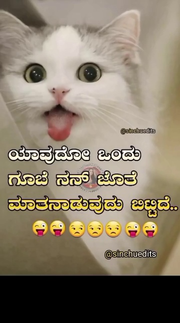 Pet Status kannada cooking channel ShareChat