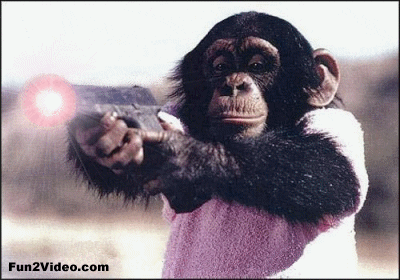 Baba Monkey GIF - Baba Monkey Meme - Discover & Share GIFs