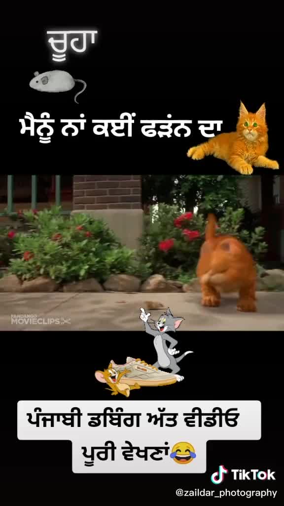 funny animals with funny sayings in punjabi