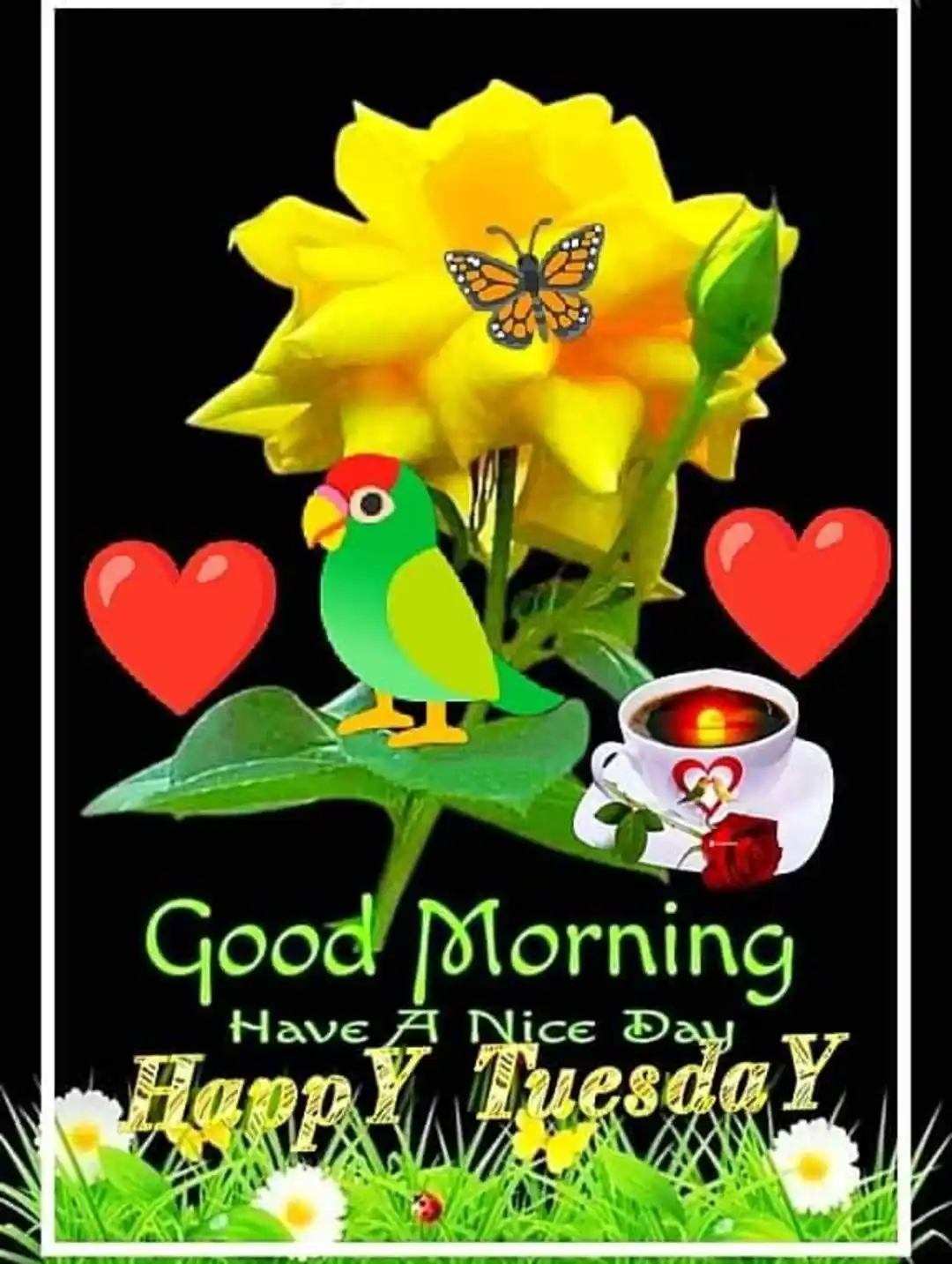 Happy Tuesday Images • SK BABU (@2670418406) on ShareChat
