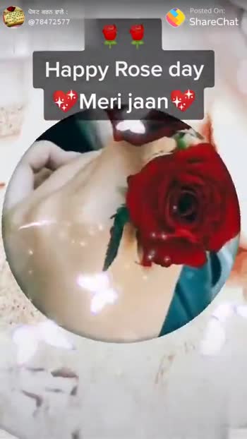 🌹Happy Rose Day Love you motto Rose 🌹 day mere jaan #🌹Happy Rose Day  video rabab - ShareChat - Funny, Romantic, Videos, Shayari, Quotes