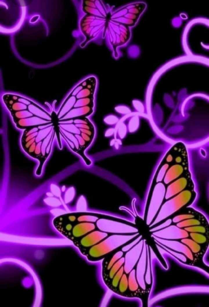 Butterfly Purple Images  Browse 159248 Stock Photos Vectors and Video   Adobe Stock