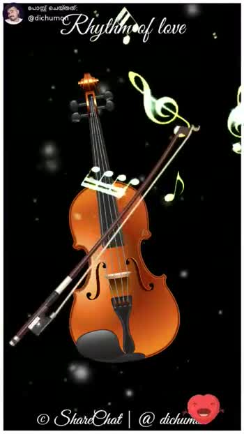 violin love violin love video ..... - ShareChat - Funny, Romantic, Videos,  Shayari, Quotes