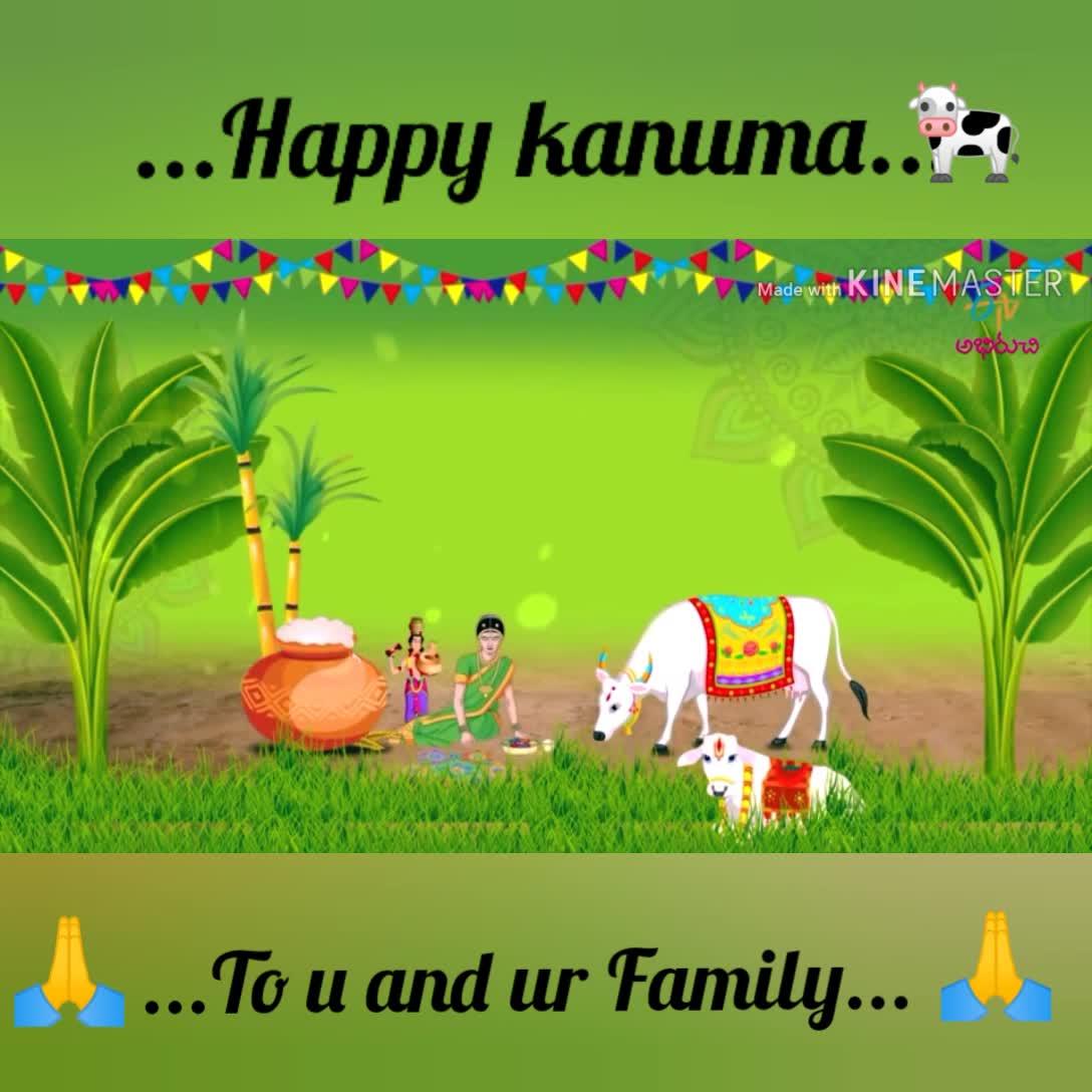 సంక్రాంతి సంబరాలు happy kanuma ...
