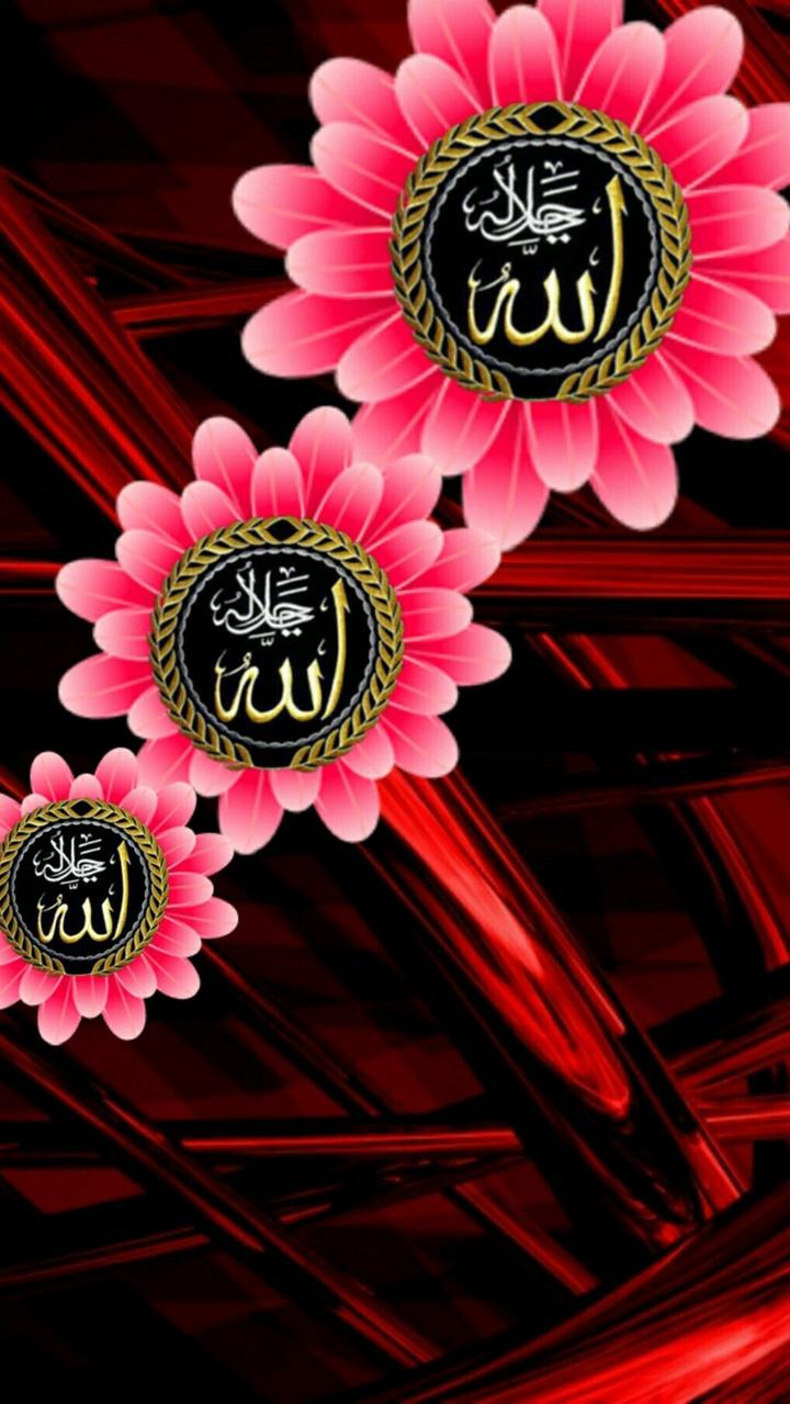 AllahWallpapersi love islam️ Images •  MD ...