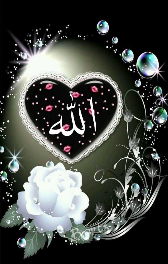 Amazing Wallpaper Allah APK for Android Download