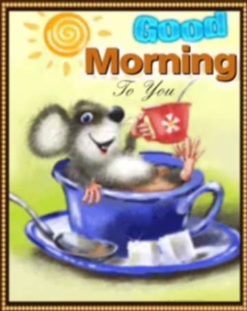 good morning friends ☕️😊🌞 #good morning friends 🌞😊☕️ video rani 😘omkar  farde - ShareChat - Funny, Romantic, Videos, Shayari, Quotes