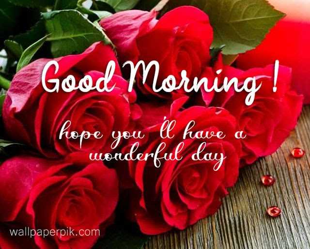 Good Morning 🌹🌹 Images • 𝑉𝑎𝑟𝑠𝒉𝑎 (⁠◕⁠ᴗ⁠◕⁠✿⁠) (@battu16) on ShareChat