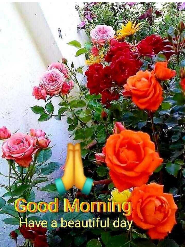 Sharechat 2024 good morning