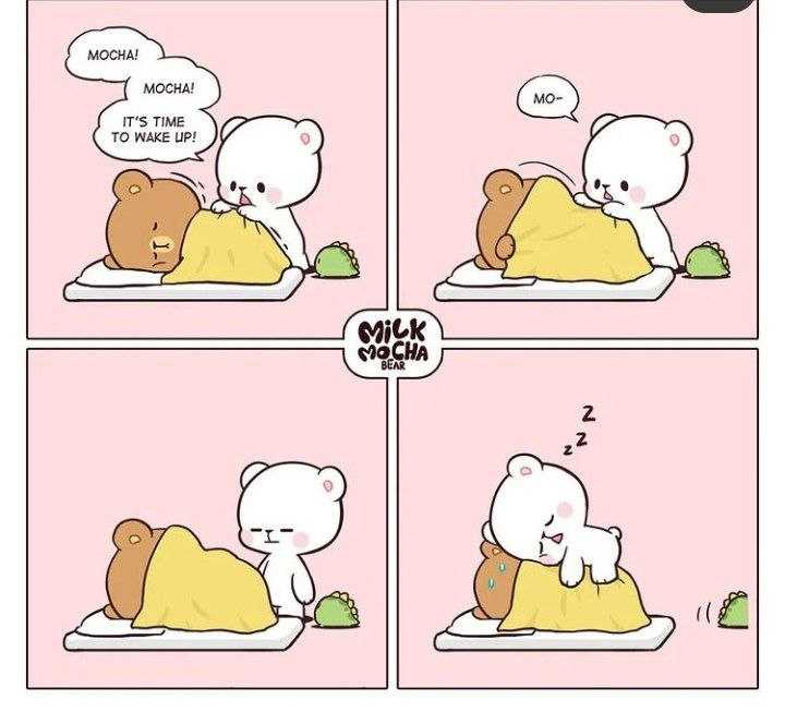 Milk Mocha Bear] When it's time to sleep