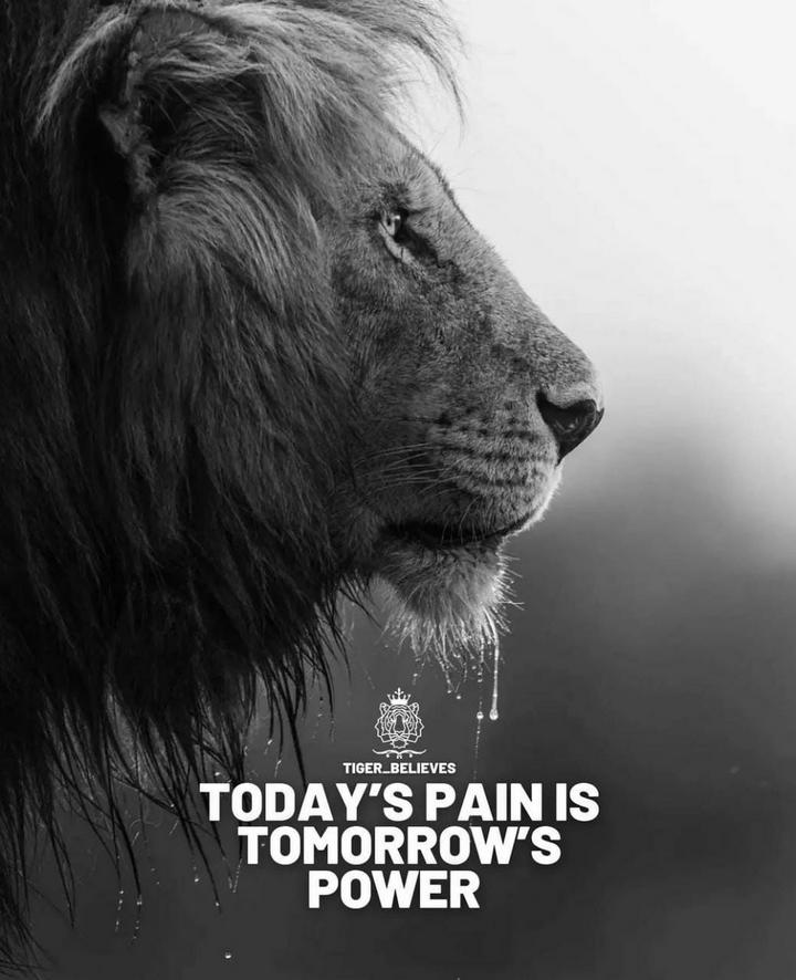Today's pain becomes tomorrow's power