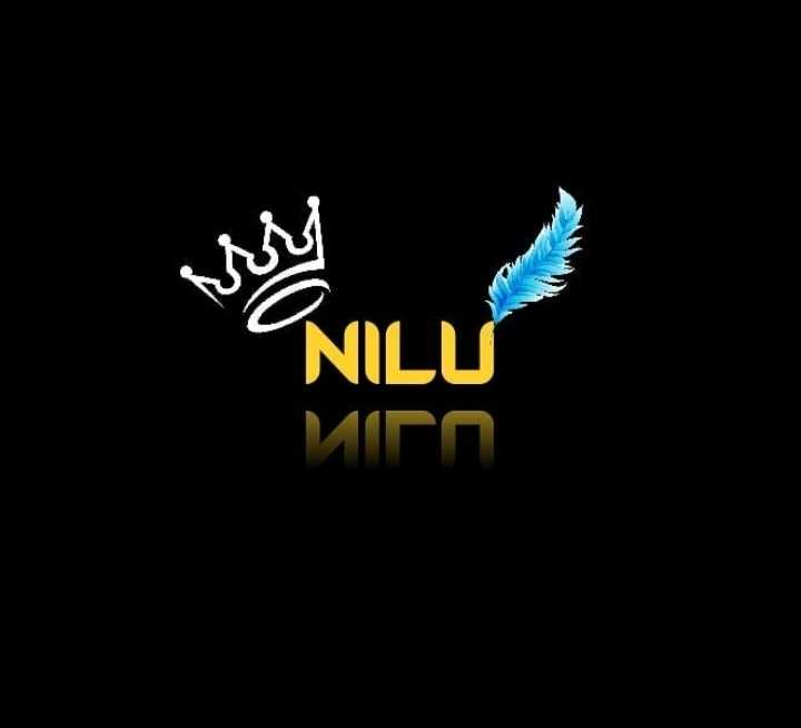 42 3D Names for nilu