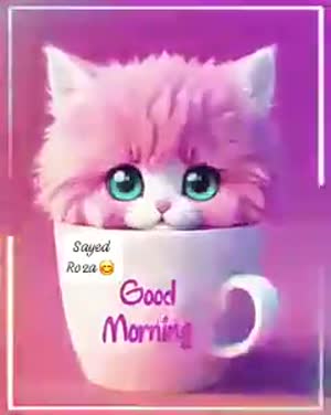 Funny cat good morning gif