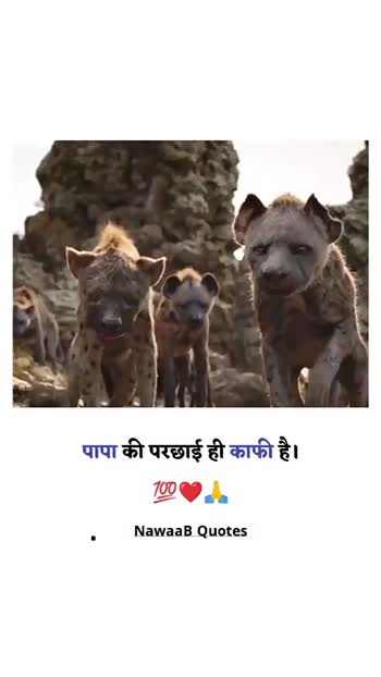 funny animal wallpapers with quotes in hindi
