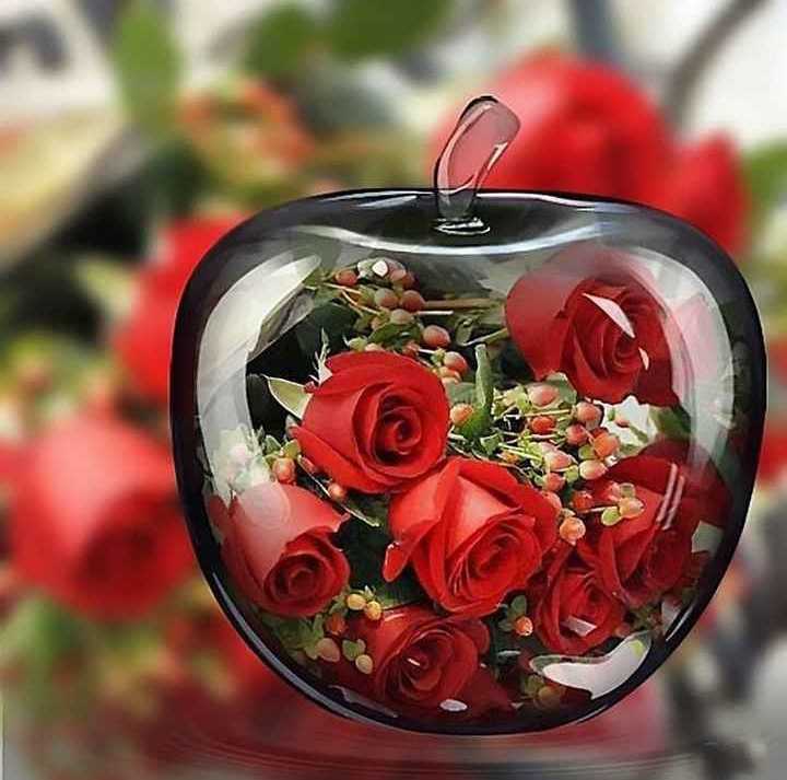 Red Rose Flower Wallpaper   ShareChat Photos and Videos