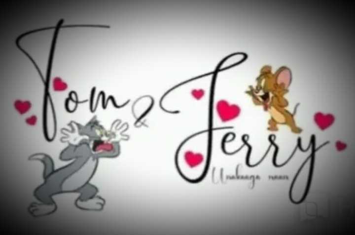 Tom And Jerry Love 😘❤ • Sharechat Photos And Videos