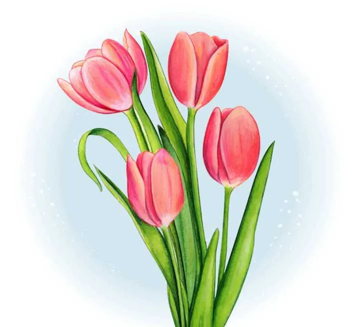 lily, tulip, and rose flowers illustration in one line art style.  continuous drawing in vector best used for icon, wall art prints, posters,  magazine, postcard, etc. 4586722 Vector Art at Vecteezy