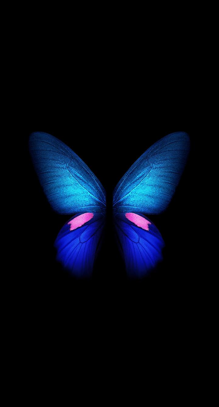 beautiful butterfly wallpaper Images • nandita ...