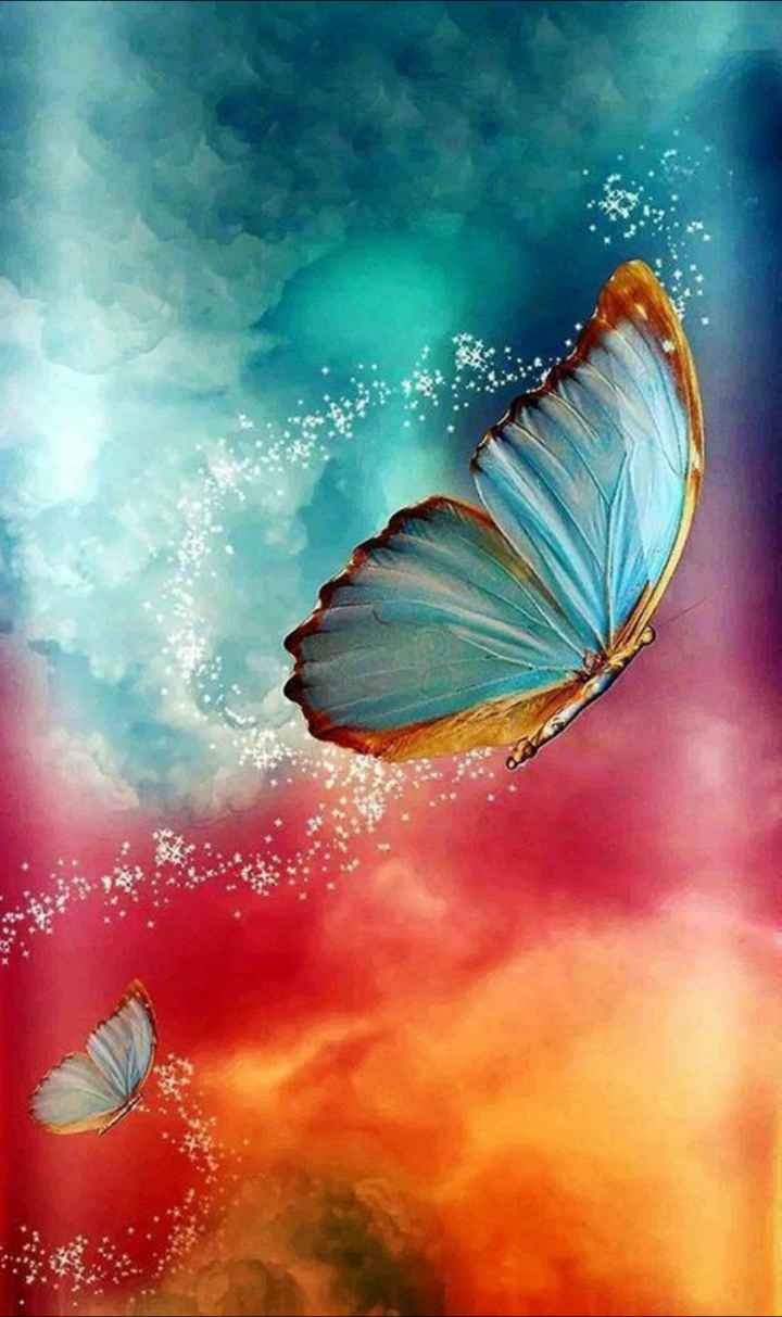 Beautiful Butterflies Wallpaper 7007450