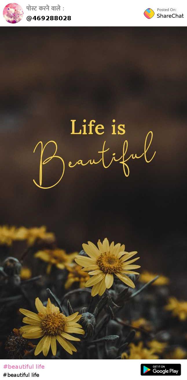 Life Is Beautiful Movie Wallpapers  Wallpaper Cave