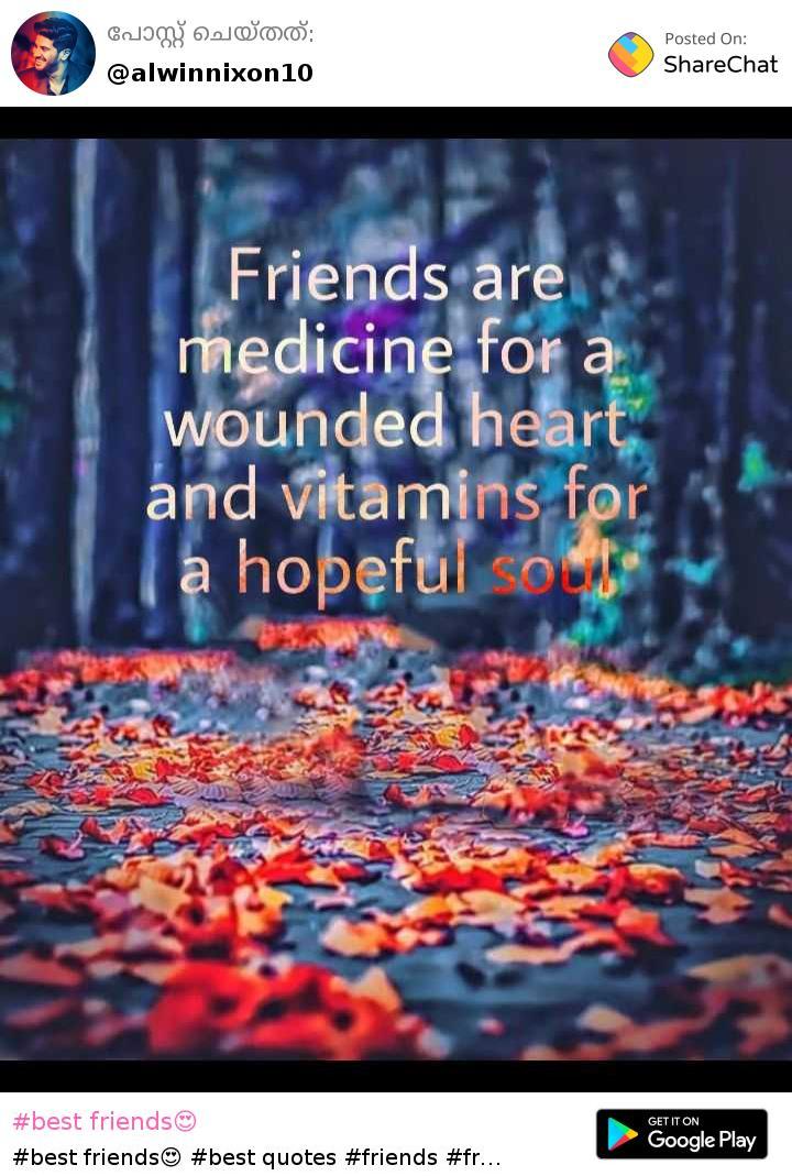 Friends are medicine for a wounded heart and