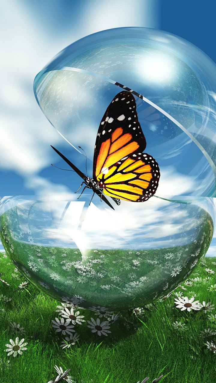 butterfly Images • A_modern_view (@90296621) on ShareChat