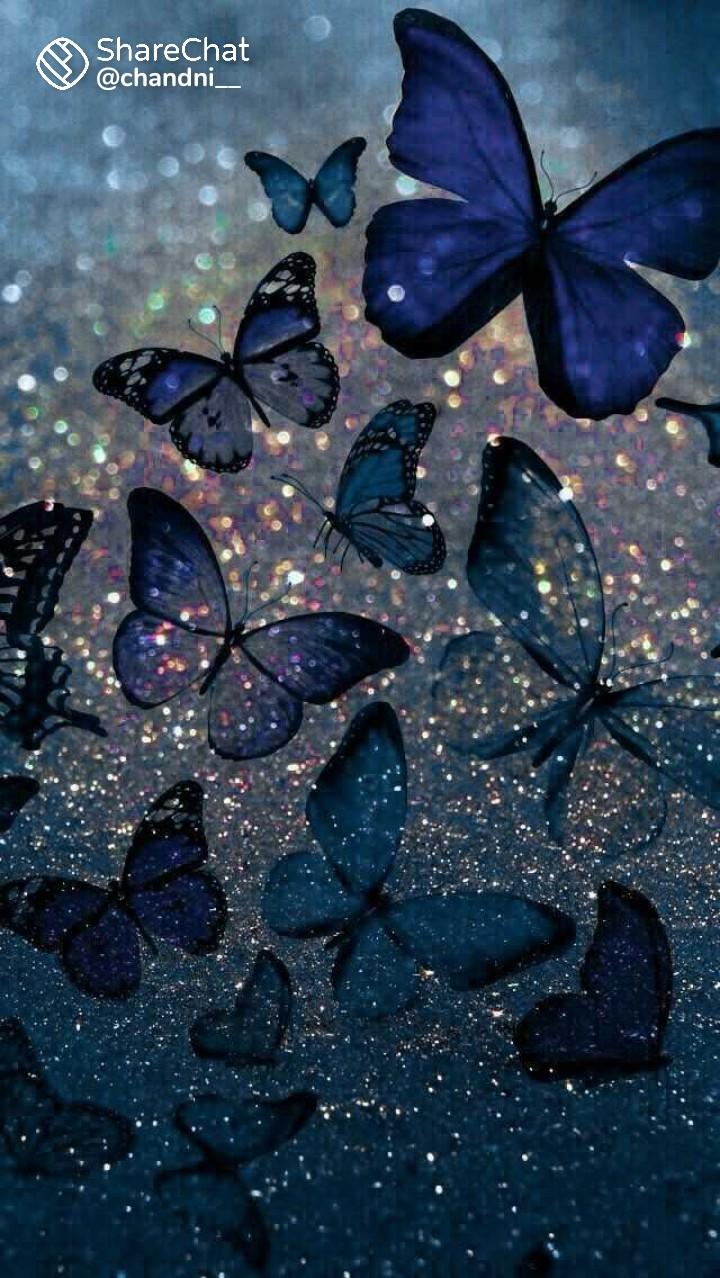 butterfly wallpaper🦋🦋🦋🦋🦋🦋🦋🦋🦋🦋 Images • puja@ (@pujjaaa ...