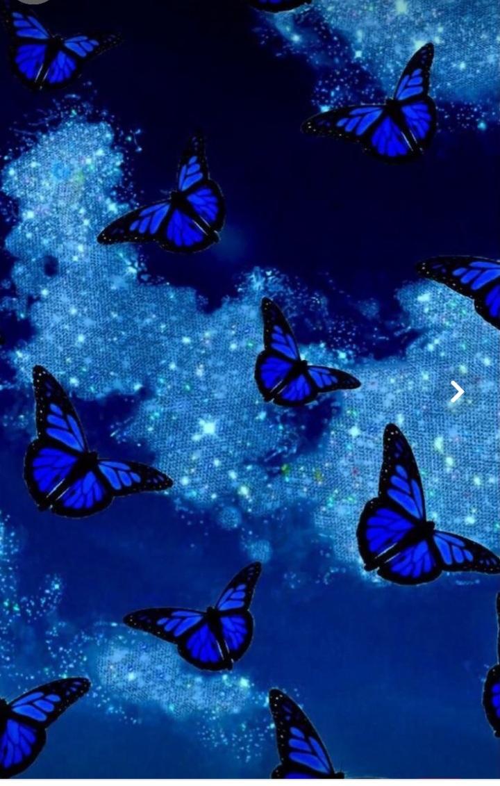 Blue Butterfly Wallpapers on WallpaperDog