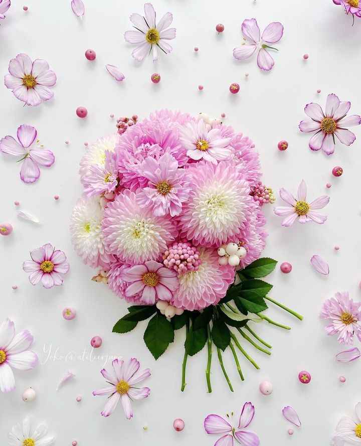 flower 🌼 🌸 whatsapp dp wallpaper 🌸 🍃 • ShareChat Photos and Videos