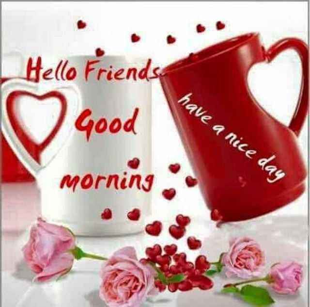 good morning friend have a great day
