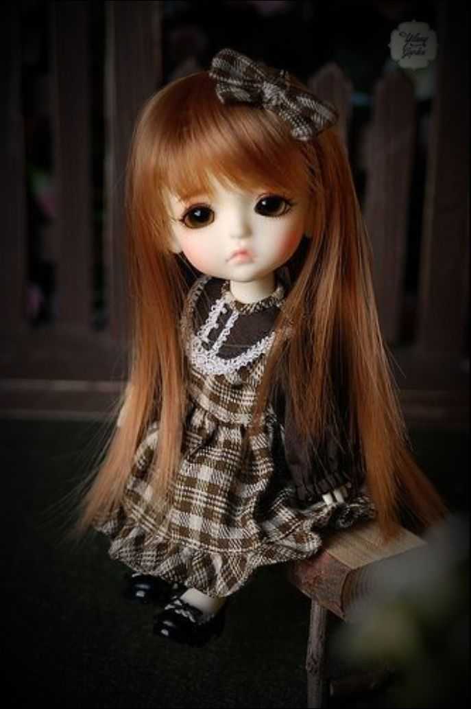 cute doll dp • ShareChat Photos and Videos