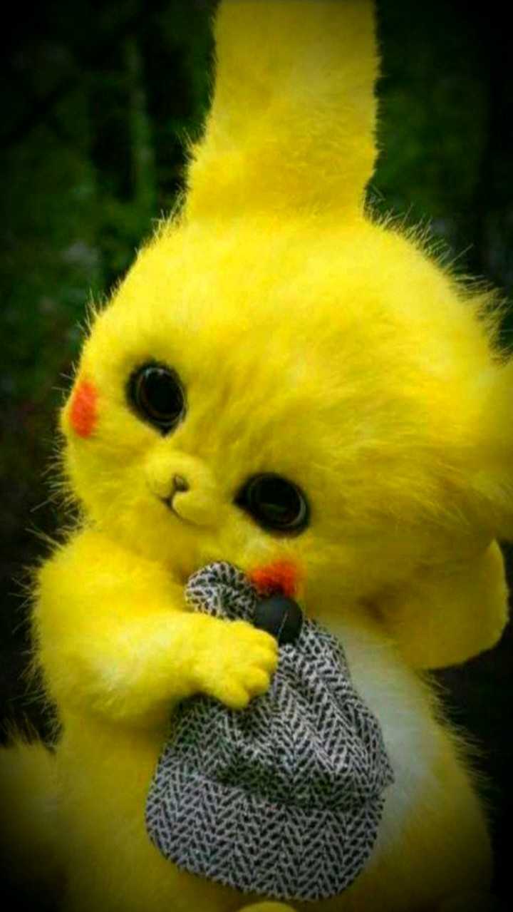 cute pikachu Images • ️ 𝕯𝖆𝖓𝖌𝖊𝖗𝖔𝖚𝖘 𝕯𝖊𝖛𝖎𝖑 ...