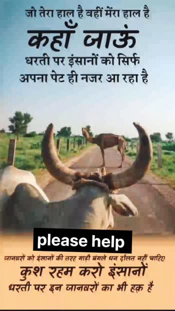 save animals • ShareChat Photos and Videos