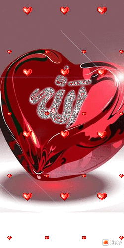 Allah Gif APK 1.0.3 - Download APK latest version