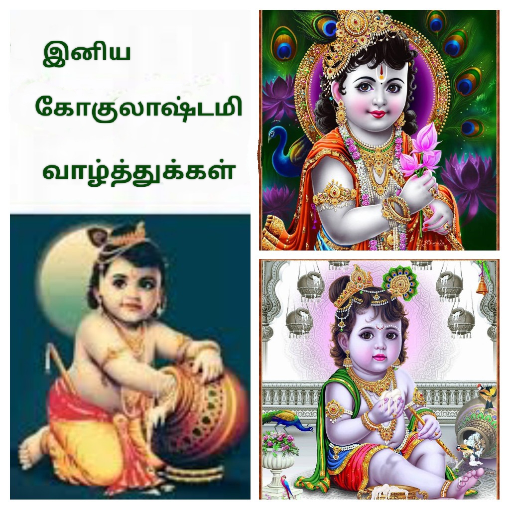 இனிய கிருஷ்ண ஜெயந்தி நல்வாழ்த்துக்கள்💐 • ShareChat Photos and Videos