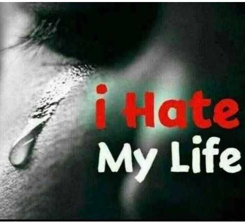 hate love life images