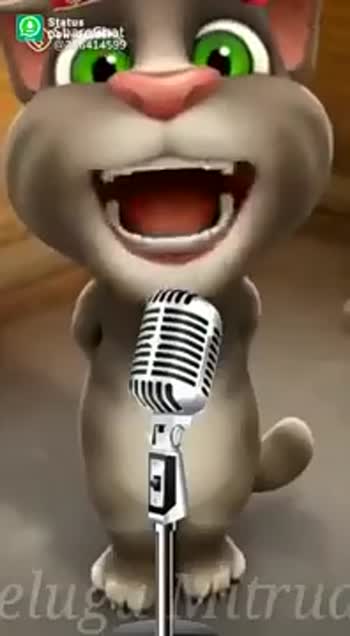 Talking tom funny song on sale video