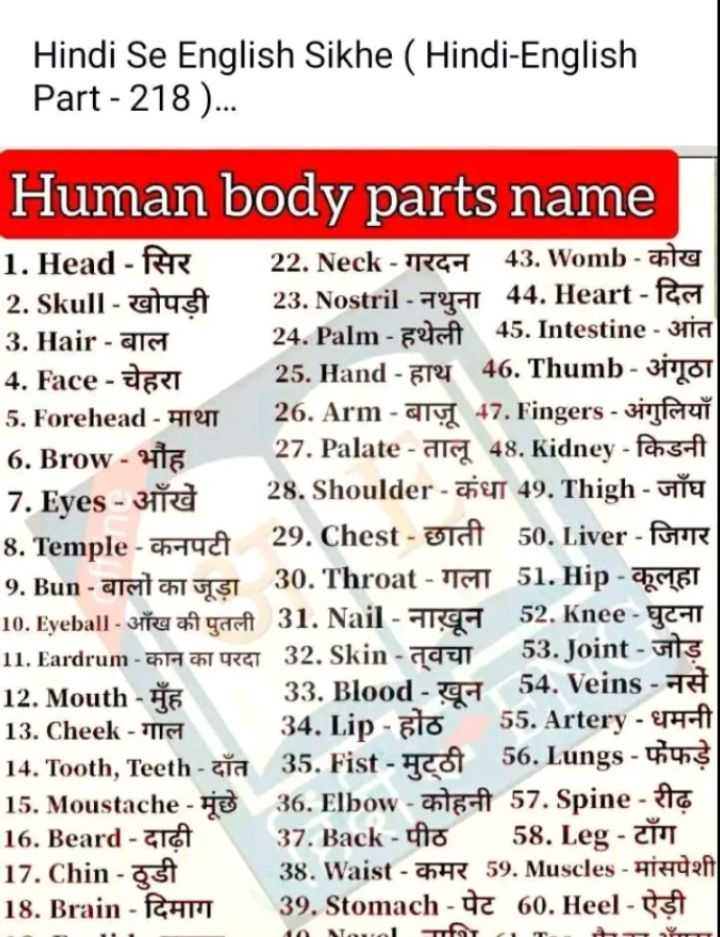 Body Parts Name, All 50 Body Parts Name in English