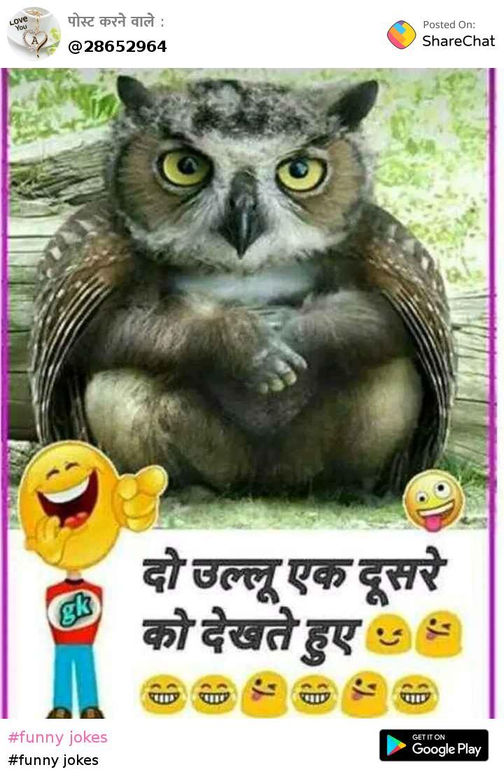 funny jokes • ShareChat Photos and Videos